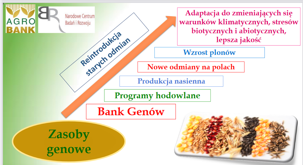 Agrobank zasoby genowe