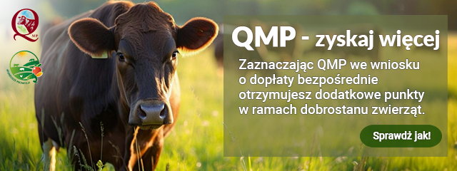 Baner QMP 640x240px 002