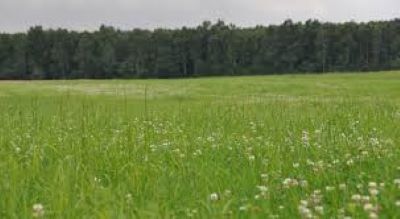 Pastwisko farmer