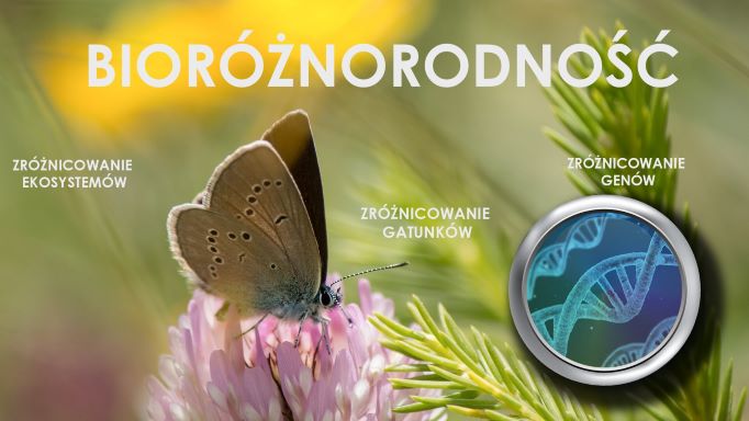 zpe.gov.pl bioróżnorodność po zmianie
