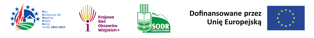 KSOW logotypy kopia