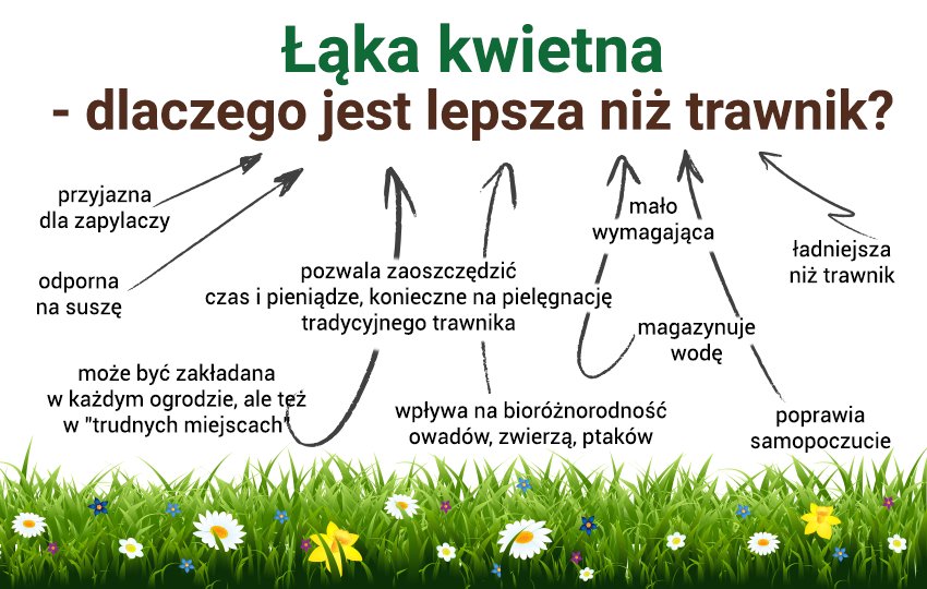 dlaczego laka