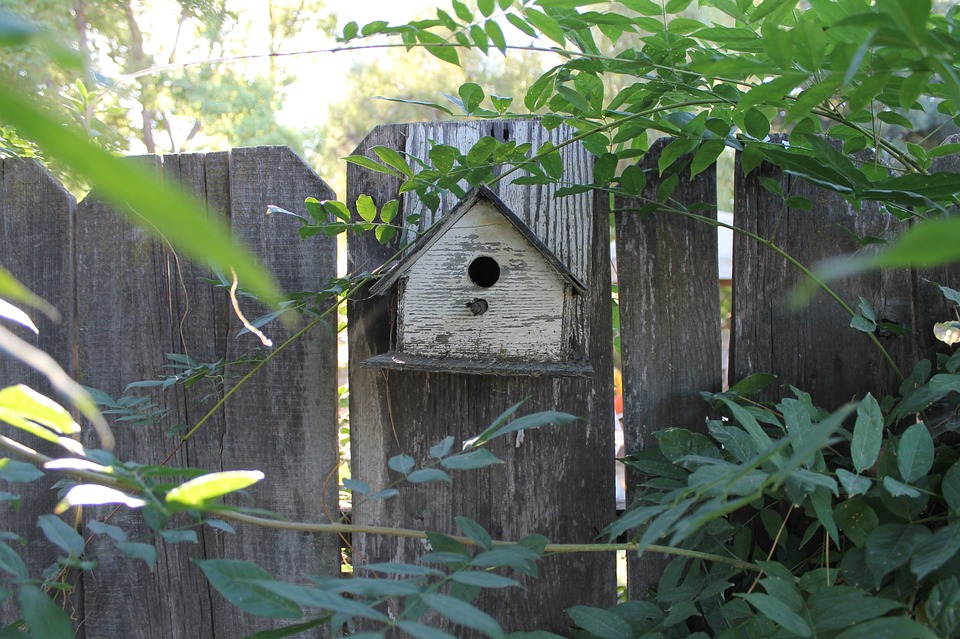 domek dla ptaszków