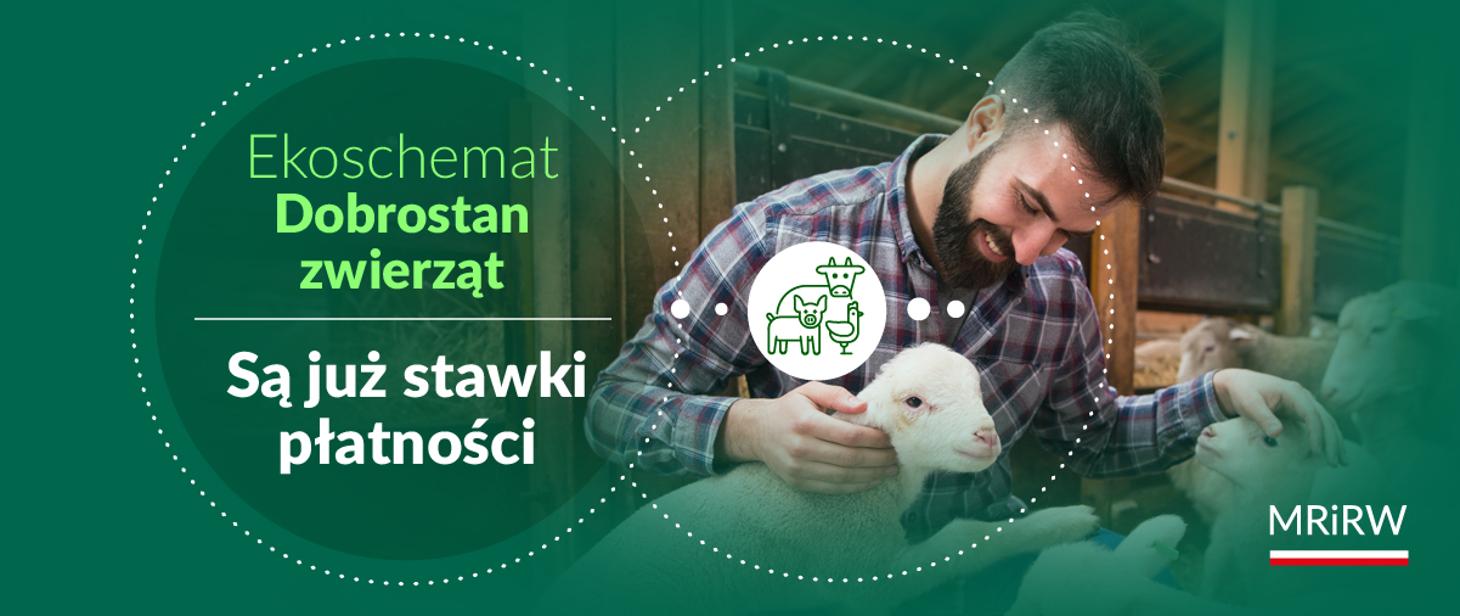 Stawki Dobrostan