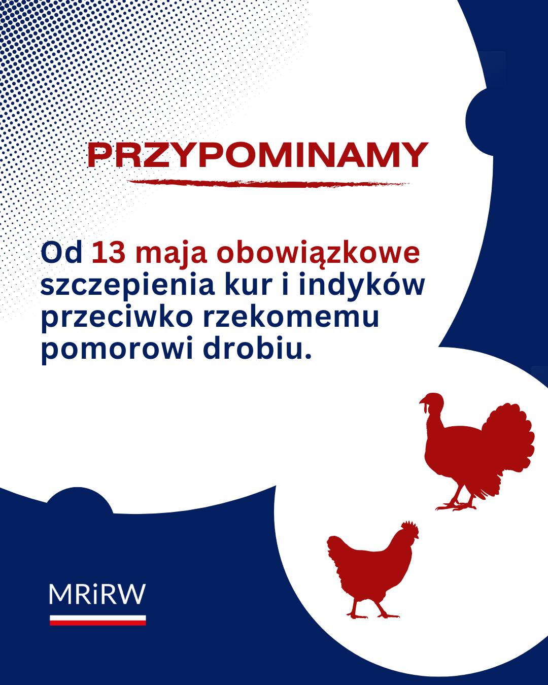 Szczepienia drobiu