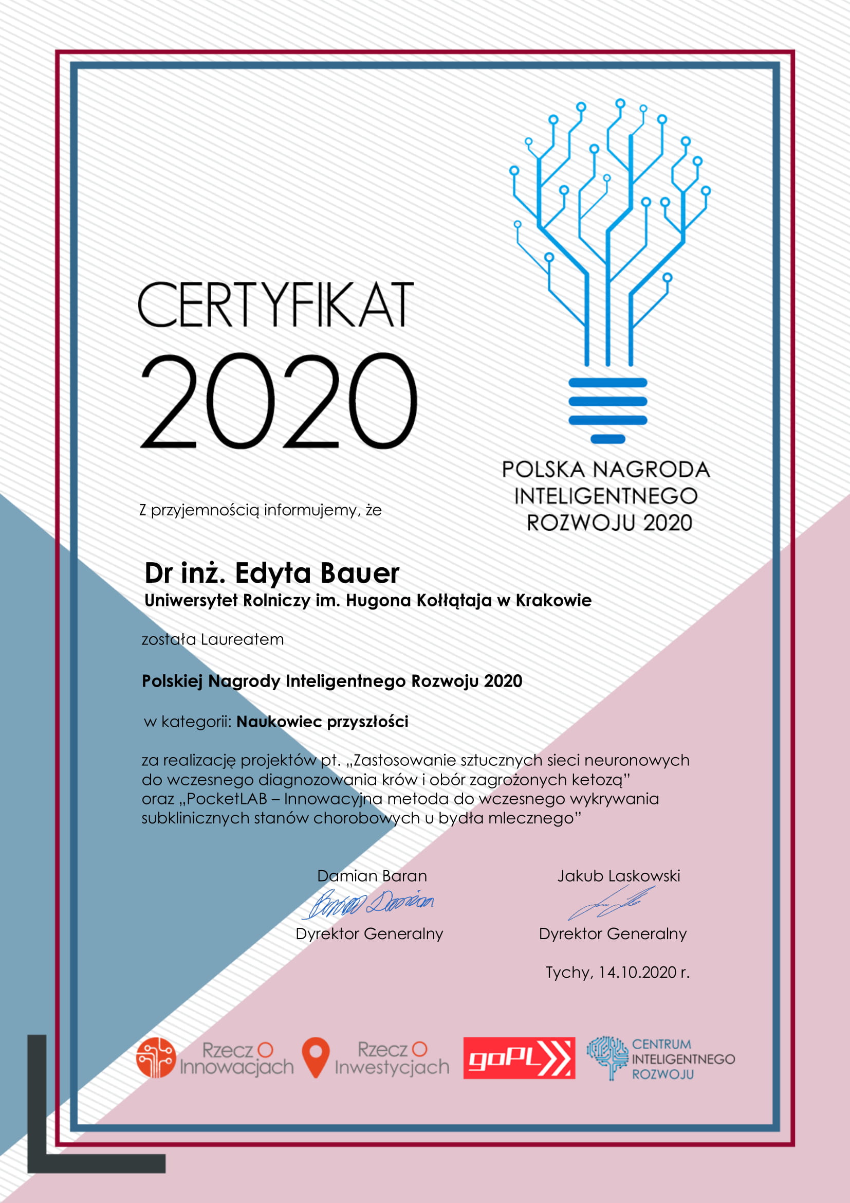 PNIR2020 Certyfikat Dr inz. Edyta Bauer 1 002