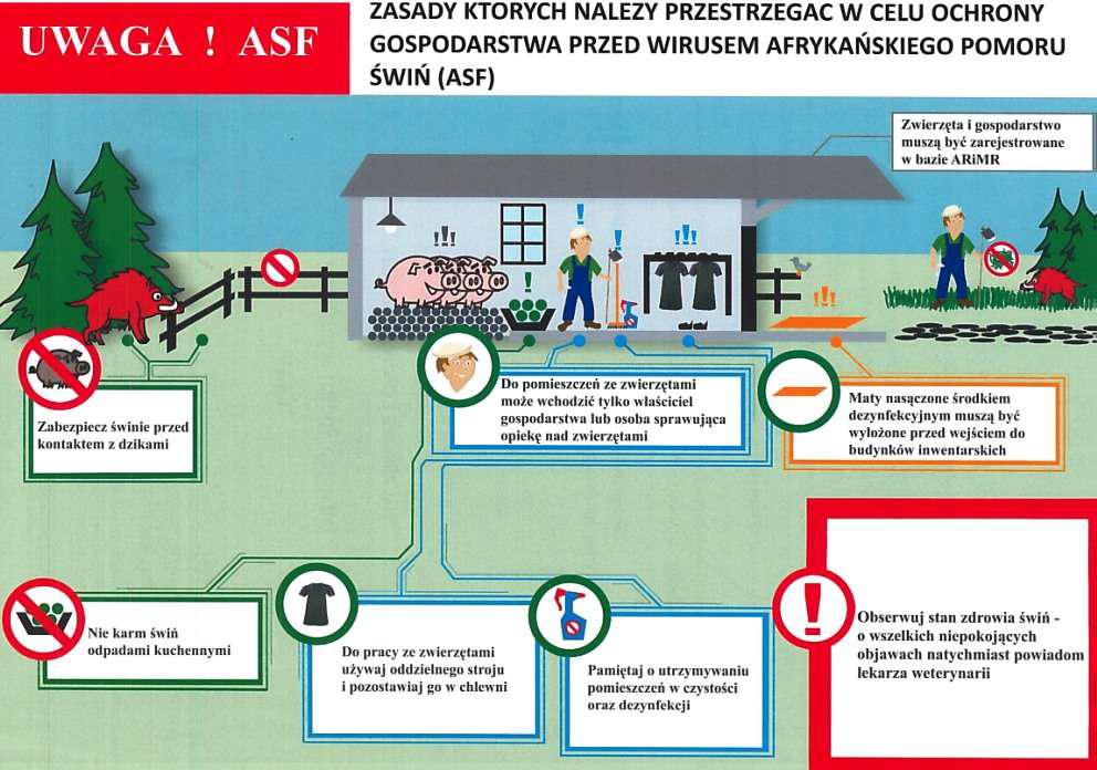 ASF broszura informacyjna