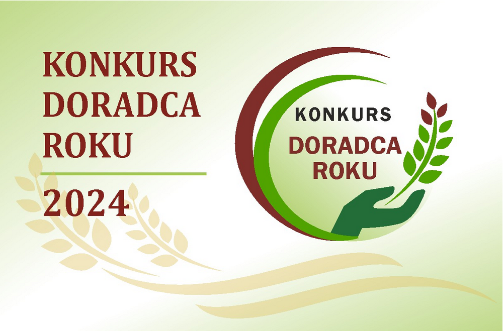 Logo Doradca Roku