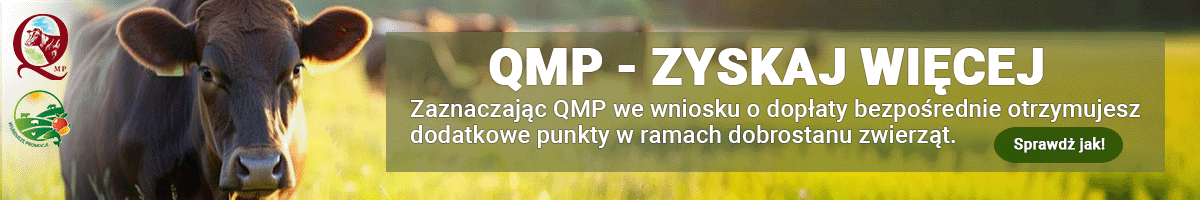 Baner QMP 1200x200