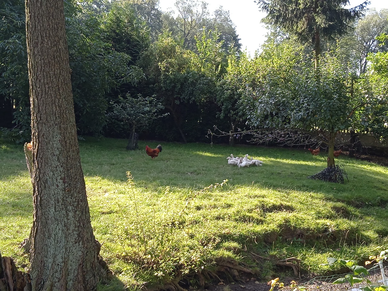 foto newsa agrot
